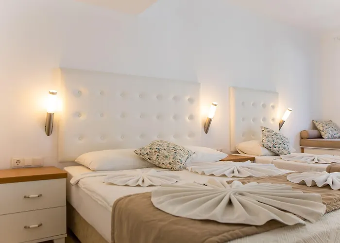 Hotel Monta & 3*
