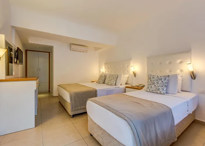 Hotel Monta & 3*